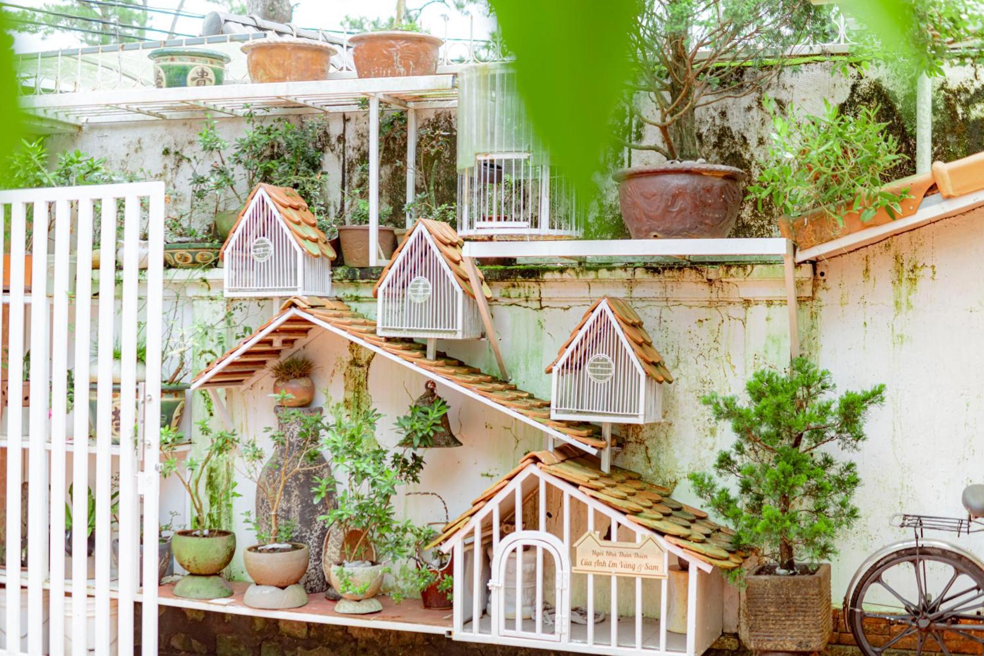 Villa Nho Xinh Khu Chi Lang Bagian luar foto